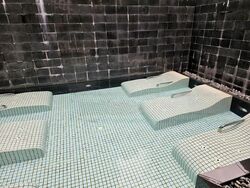 The Luxurie (D19), Condominium #437358991
